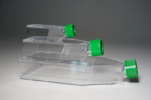 Labware : Cell Culture Flask