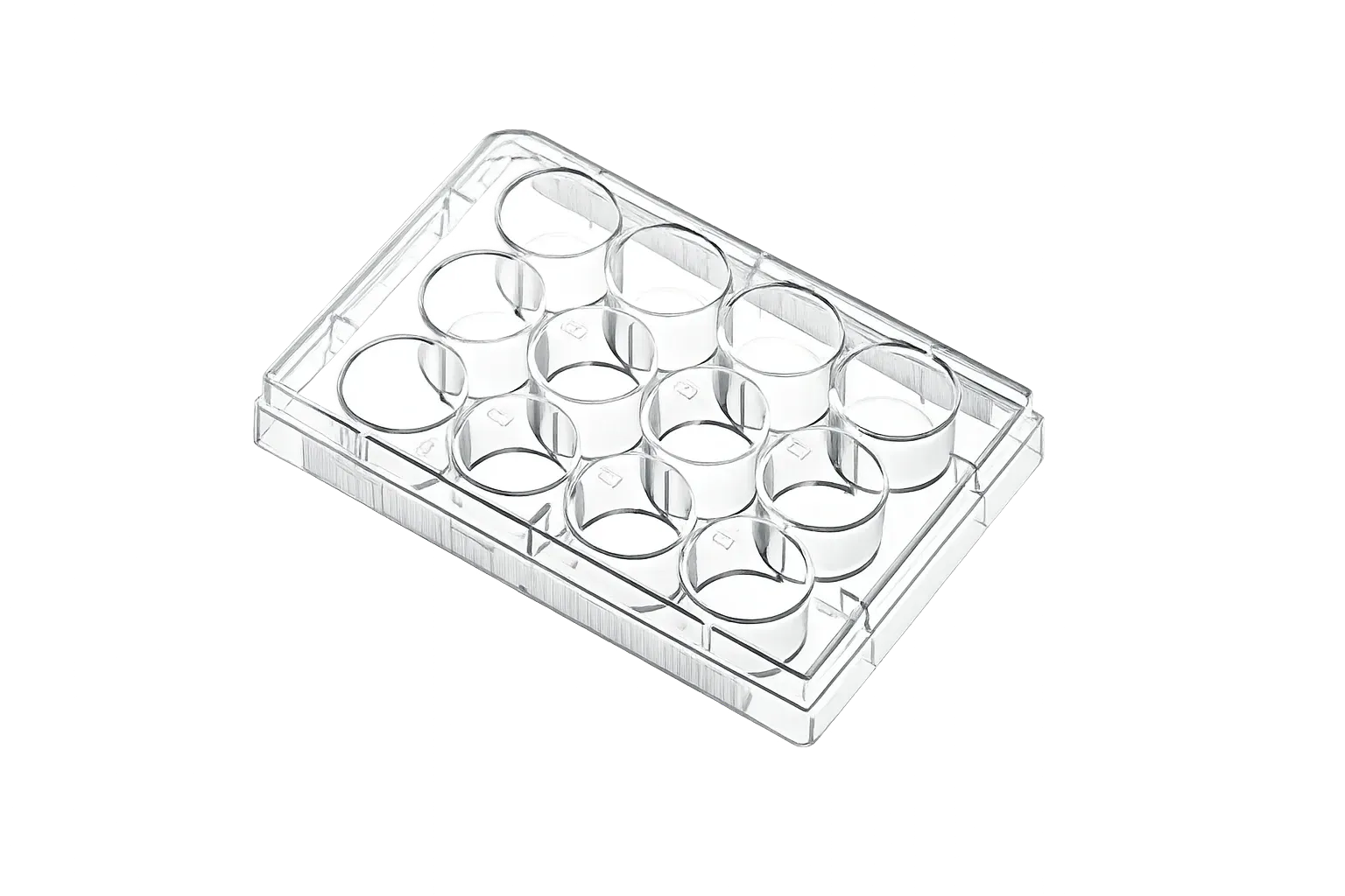 Labware : Cell Culture Plate