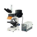 Fluorescence Microscopes : Fluorescence Microscope LX1303FMS