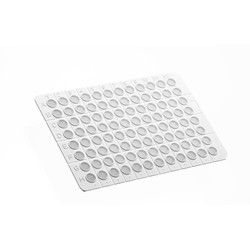 PCR Well Plates 04-101PWPL