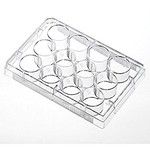 Cell Culture Products : Suspension Culture Plate 02-101SCPL