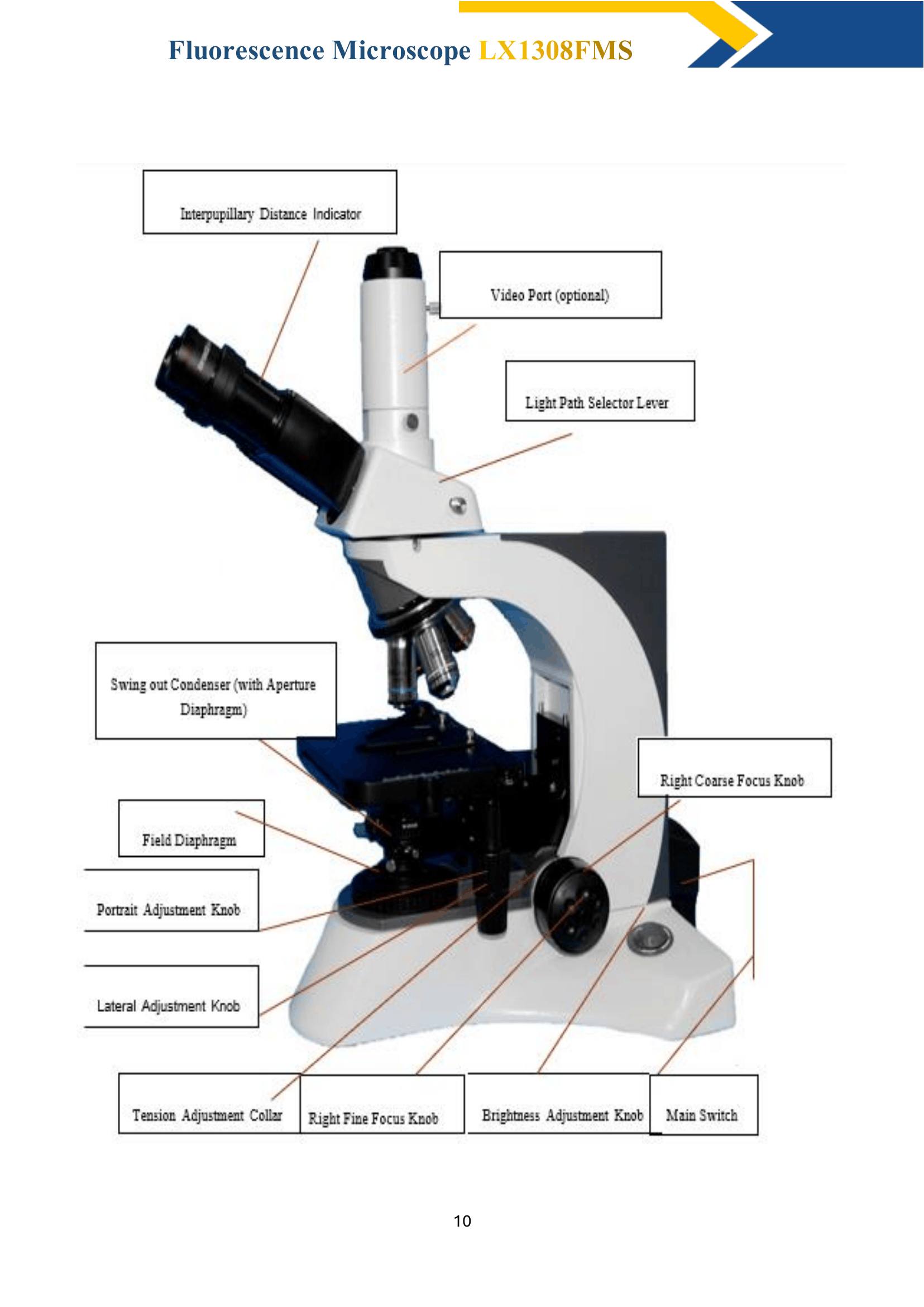 fluorescence-microscope-lx1308fms-12.png