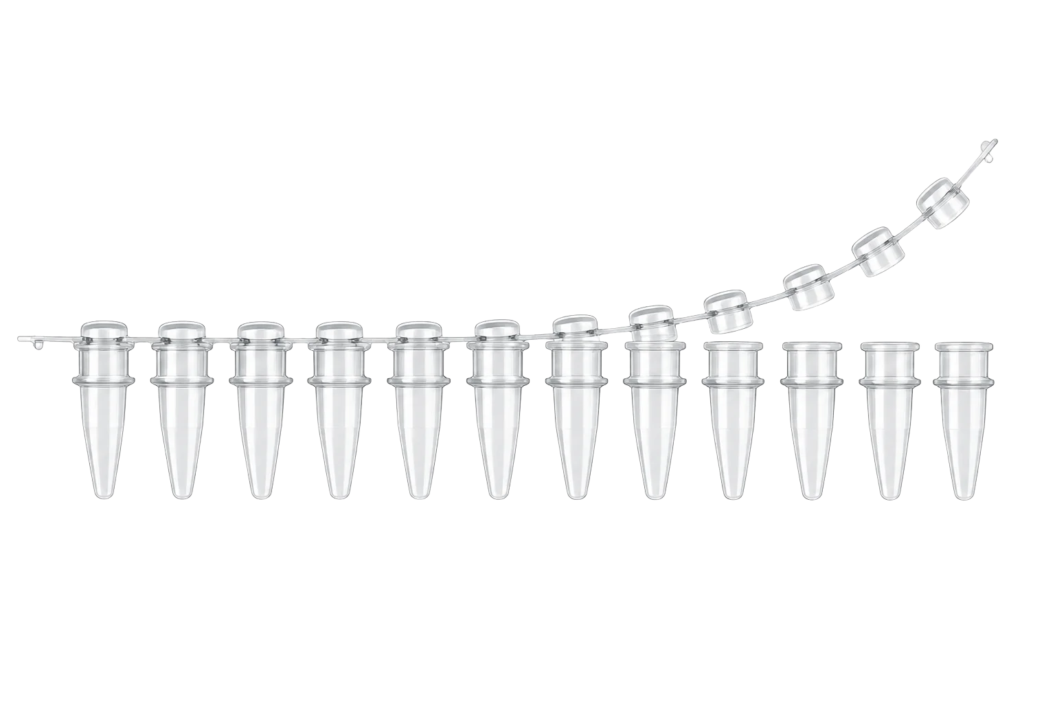 PCR Tubes : PCR Tube 04-104PTBL
