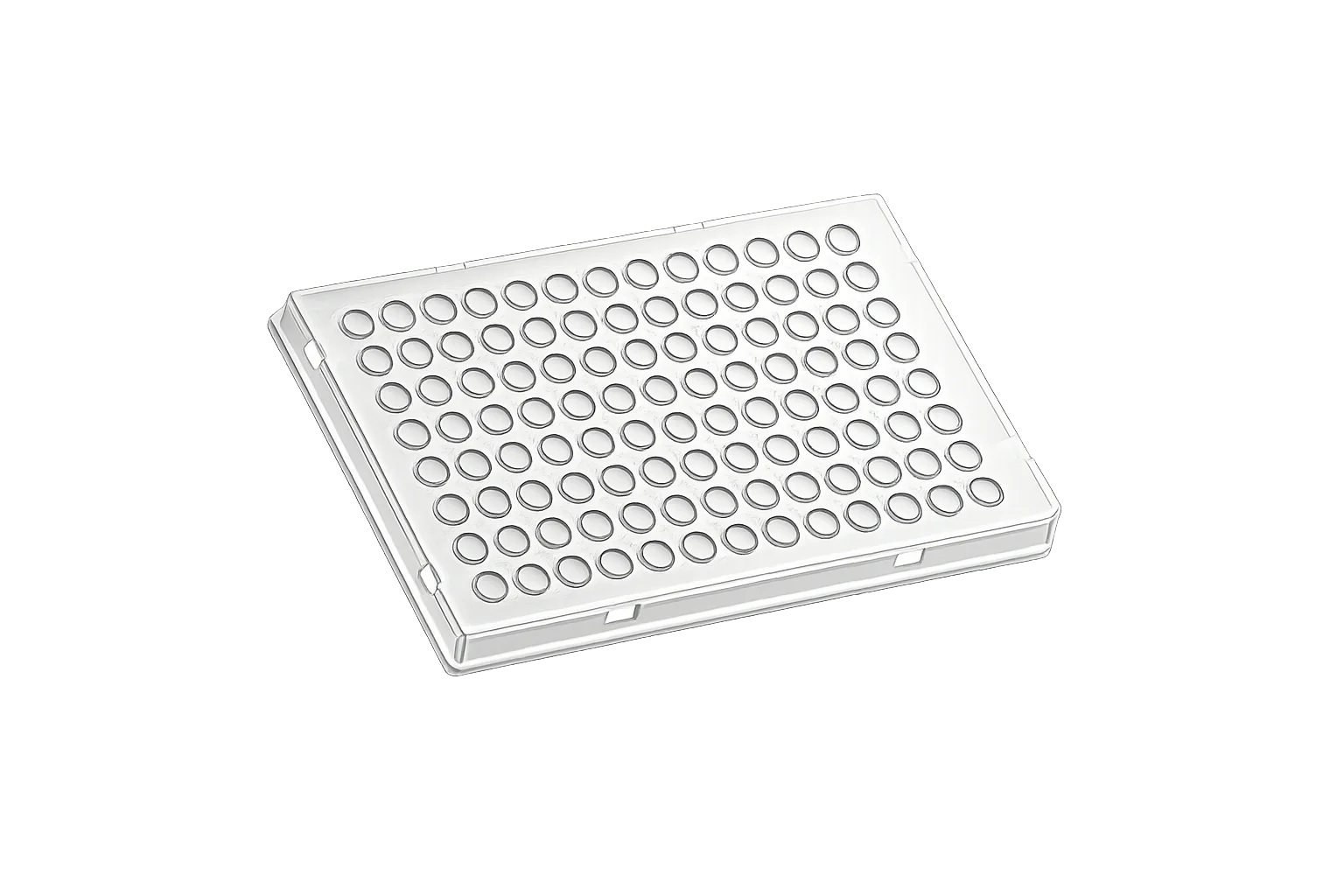 PCR 96 Well Plate : PCR Well Plates 04-201PWPL