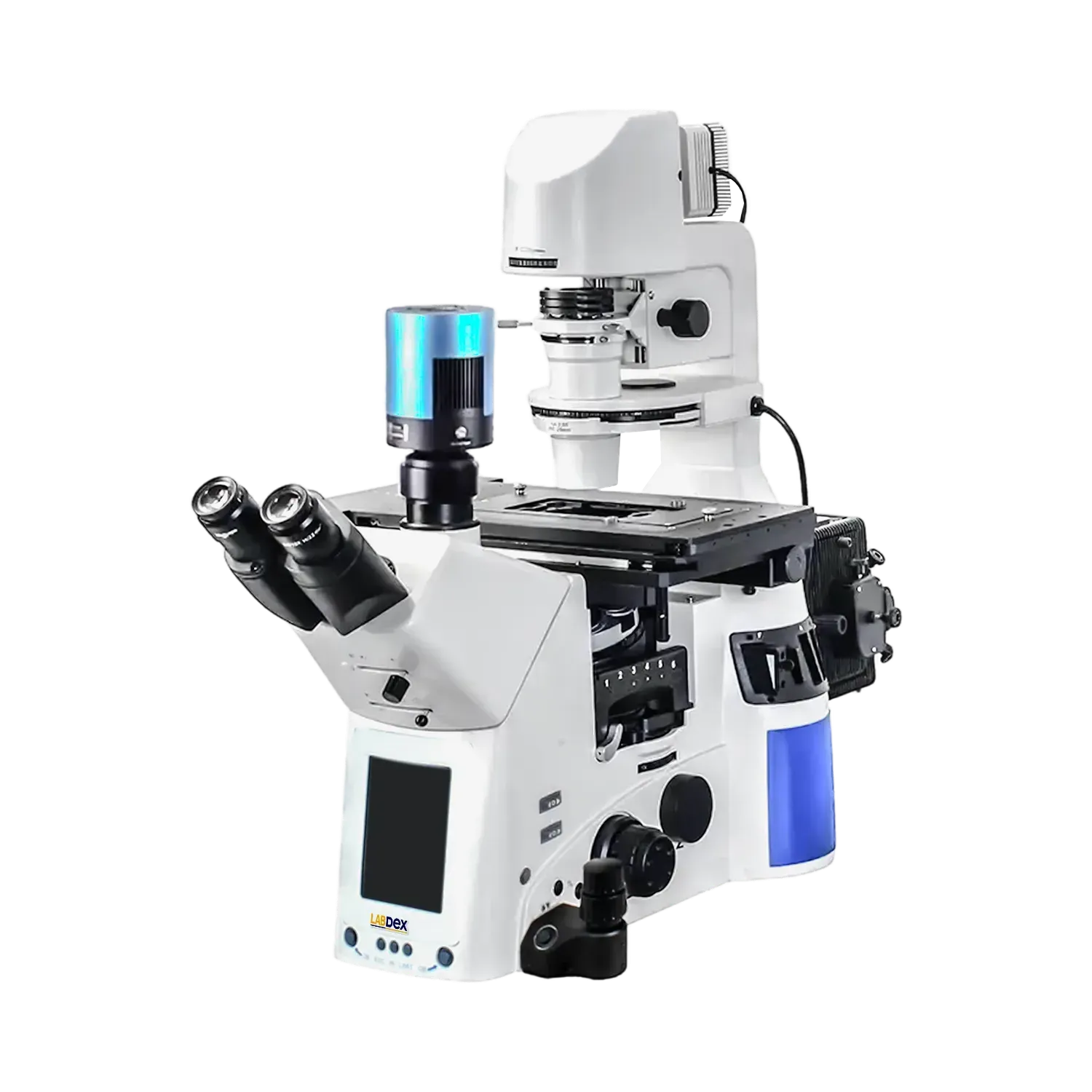 Infinite Inverted Microscope : Infinite Inverted Microscope LX1109IIM