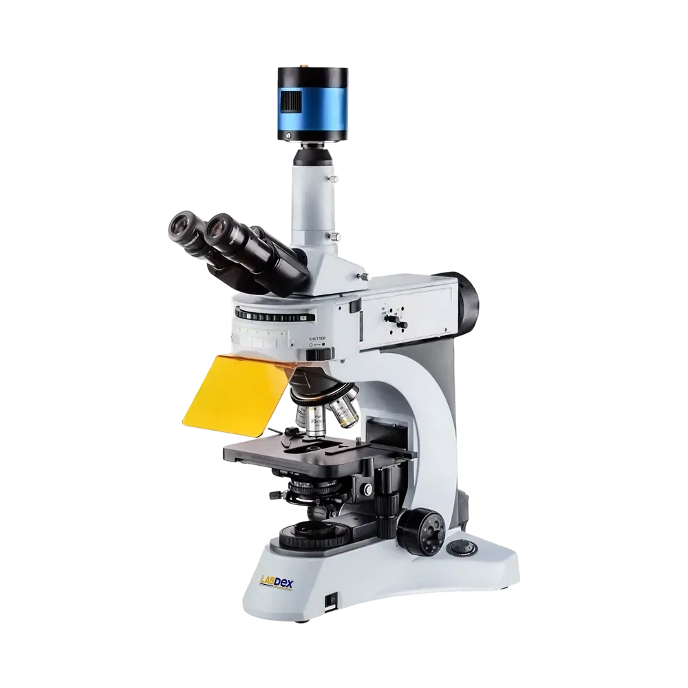 Fluorescence Microscope : Fluorescence Microscope LX1317FMS