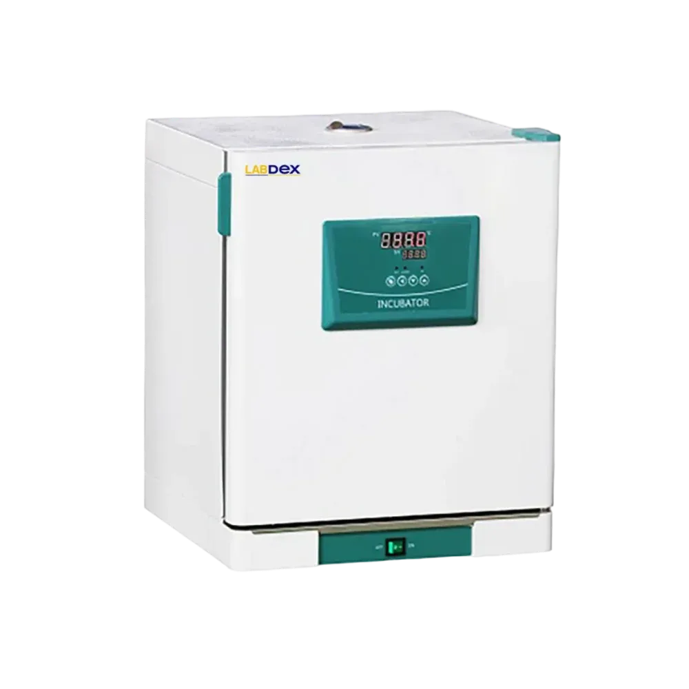 Constant Temperature Incubator : Constant Temperature Incubator LX21CTI