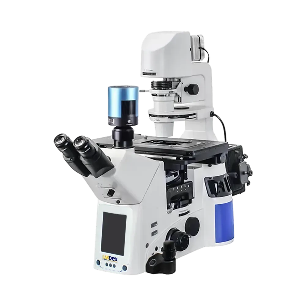 Inverted Fluorescence Microscope : Inverted Fluorescence Microscope LX404IIM