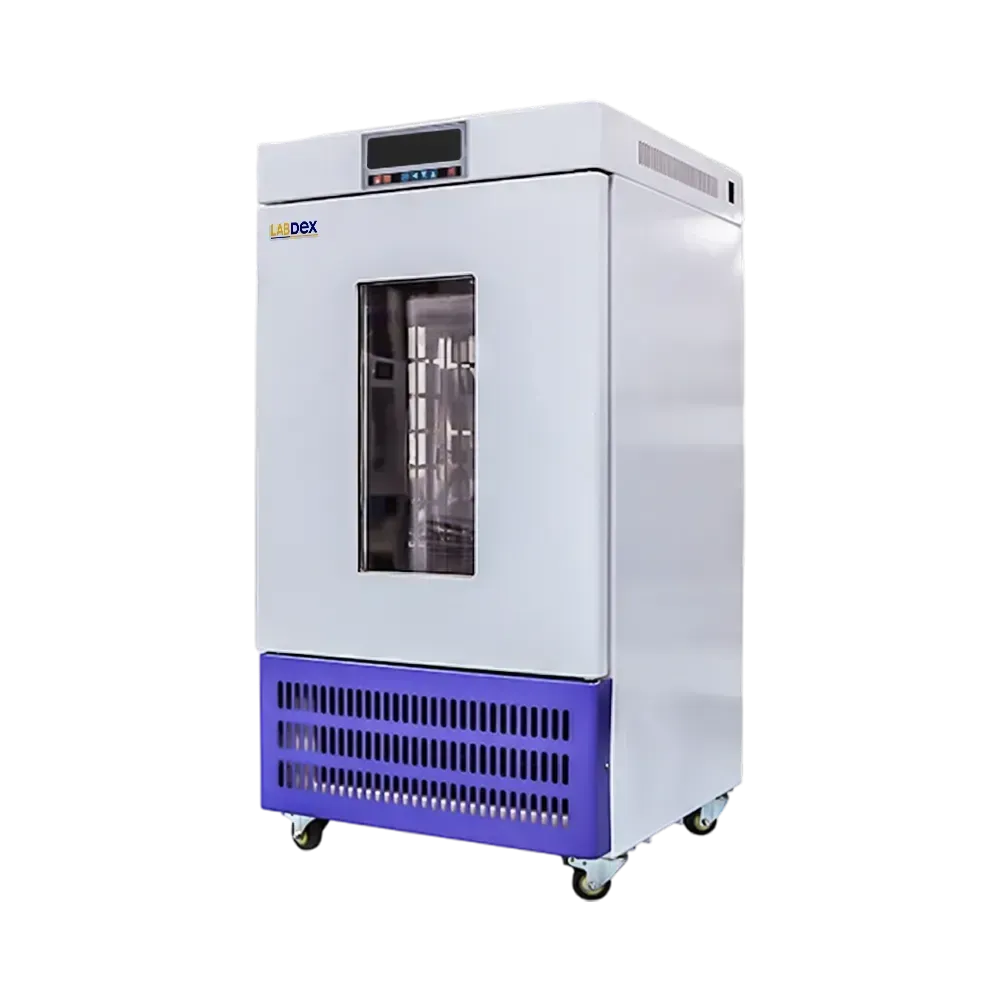 Mould Incubator : Mould Incubator LX503MLI
